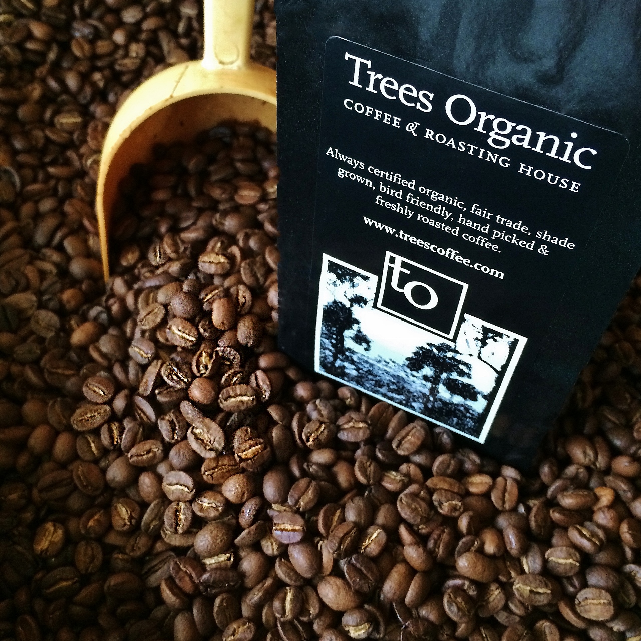 Trees Organic Coffee 450 Granville