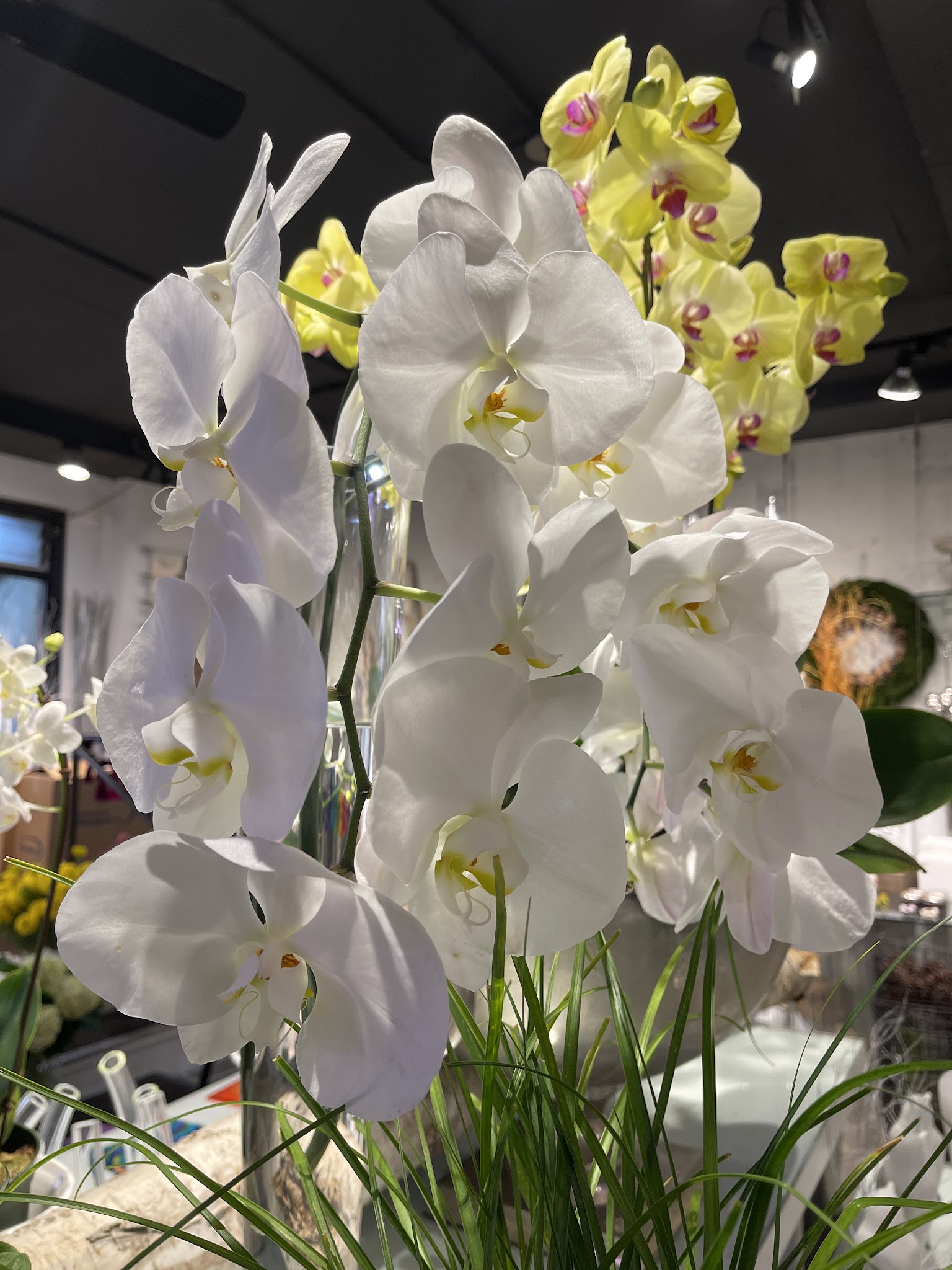 Hilary Miles Flowers / Vancouver Florist / Flower Delivery