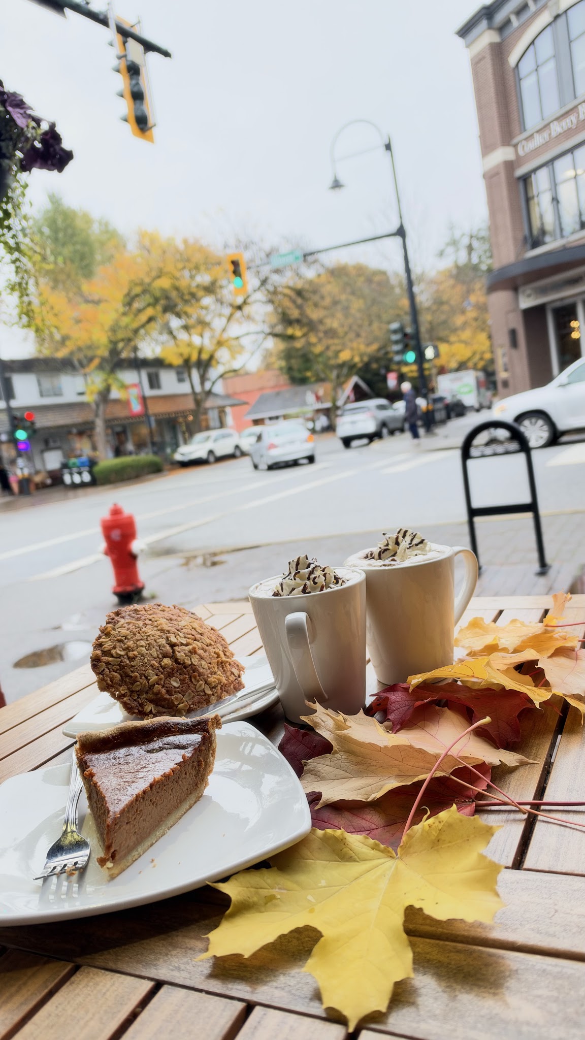 Wendel's Bookstore & Cafe