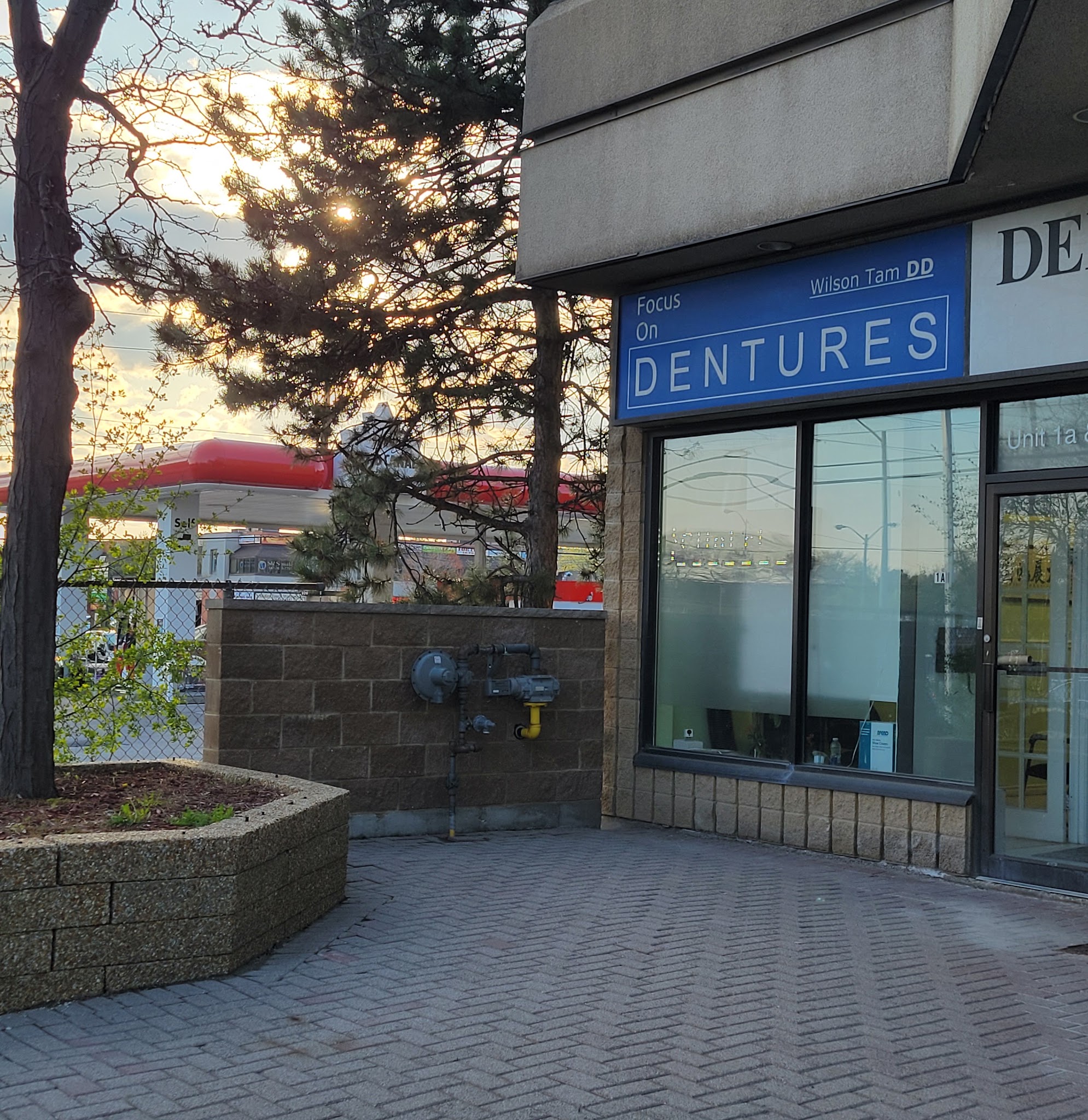 Focus on Dentures - Wilson Tam DD