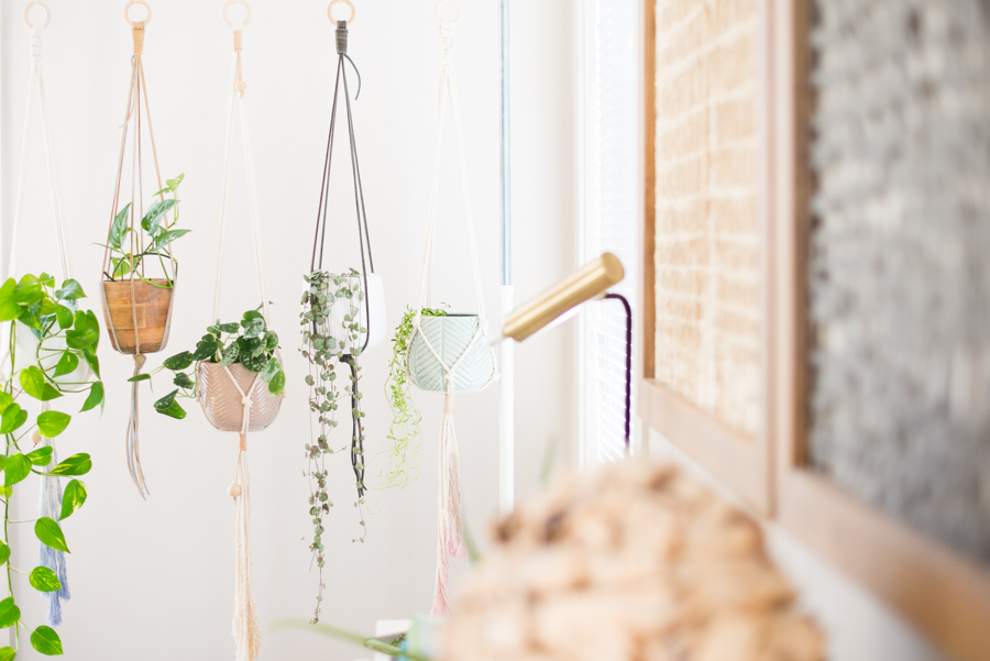 Fresh & Cozy Home Decor