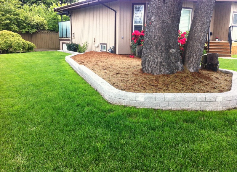Terraform Construction Ltd.