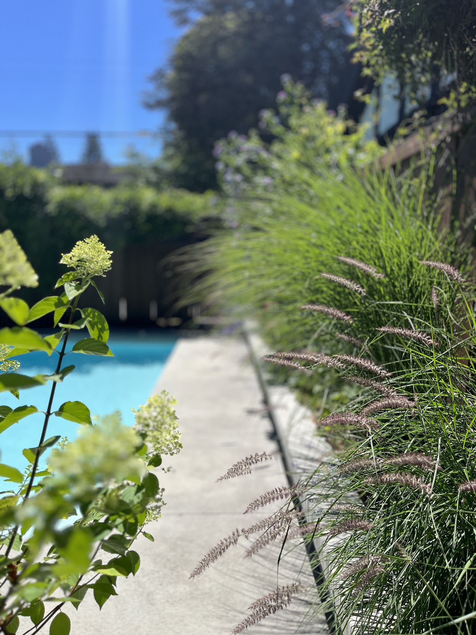 Pristine Green Landscapes