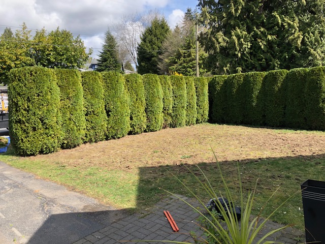 Pilkington Lawn and Landscape