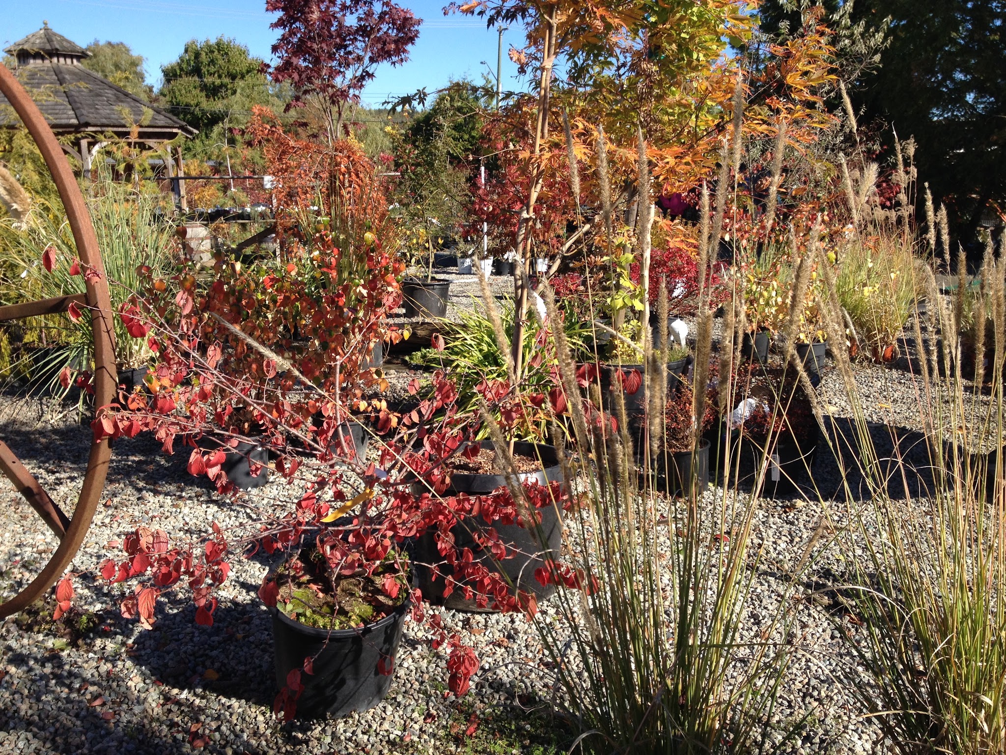 Its About Thyme Nursery Ltd