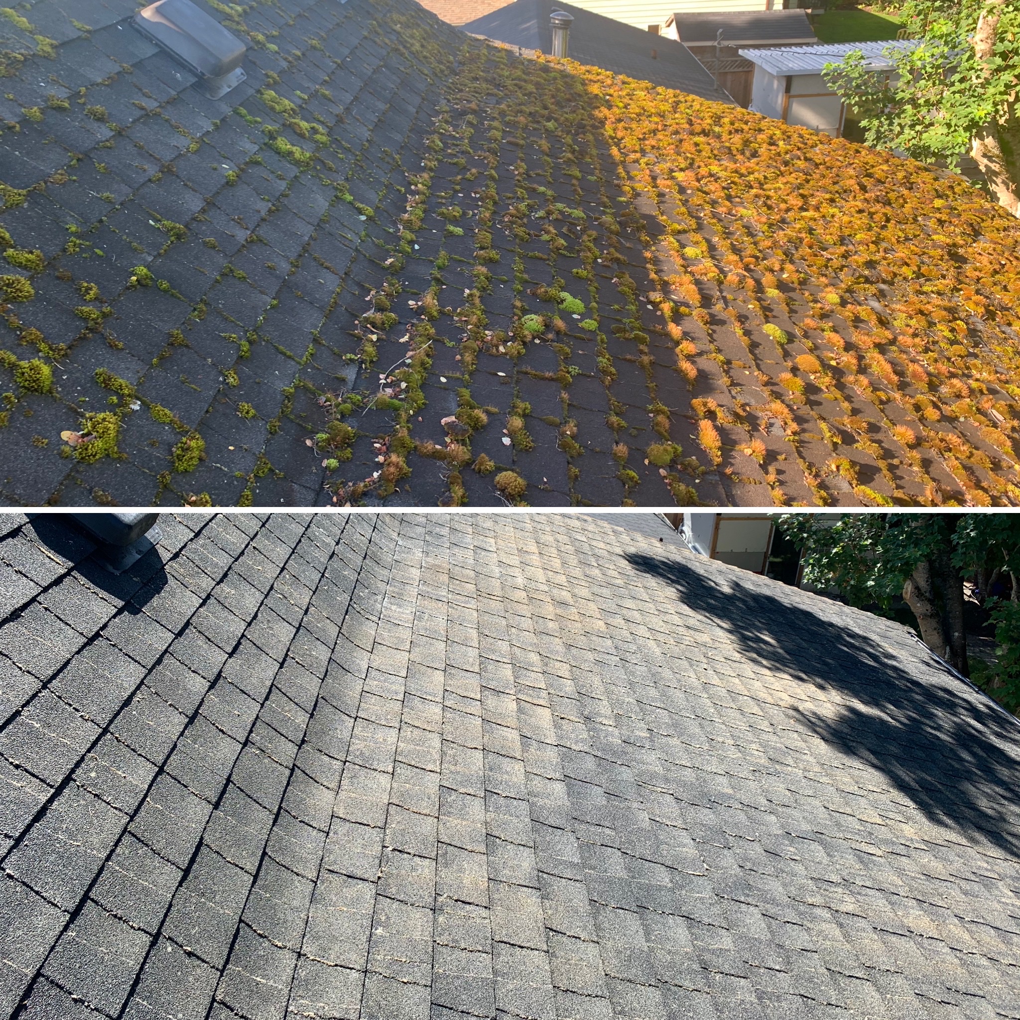 Coastal Roof Cleaning Experts