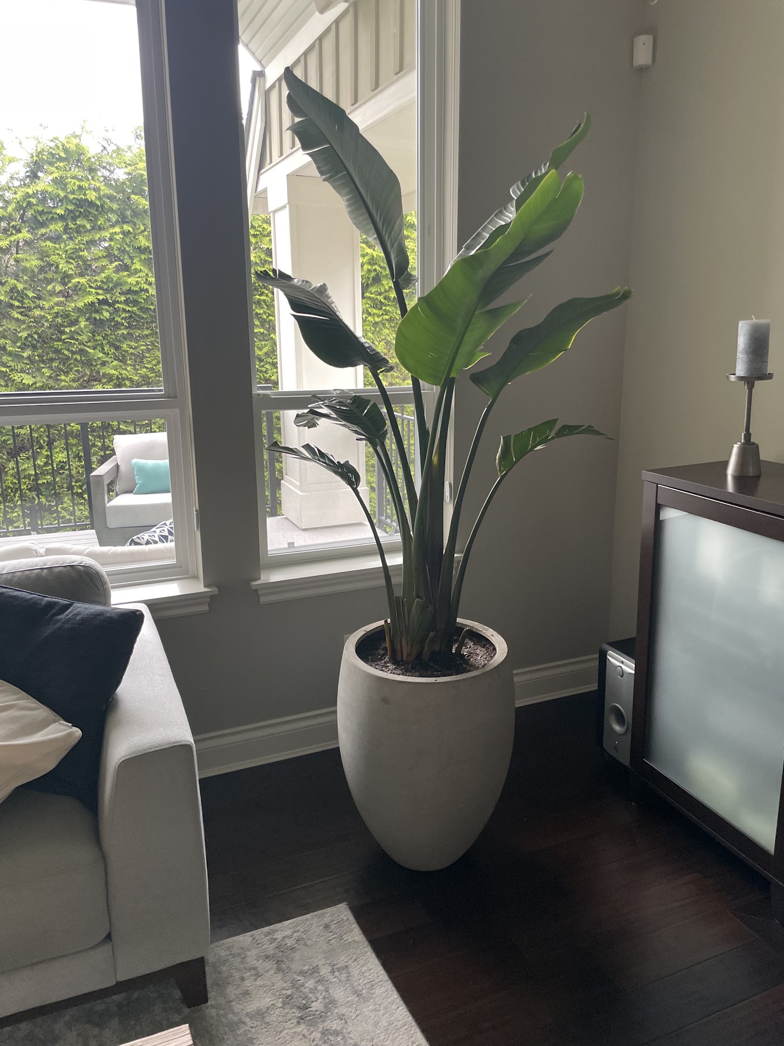 Fresh & Cozy Home Decor