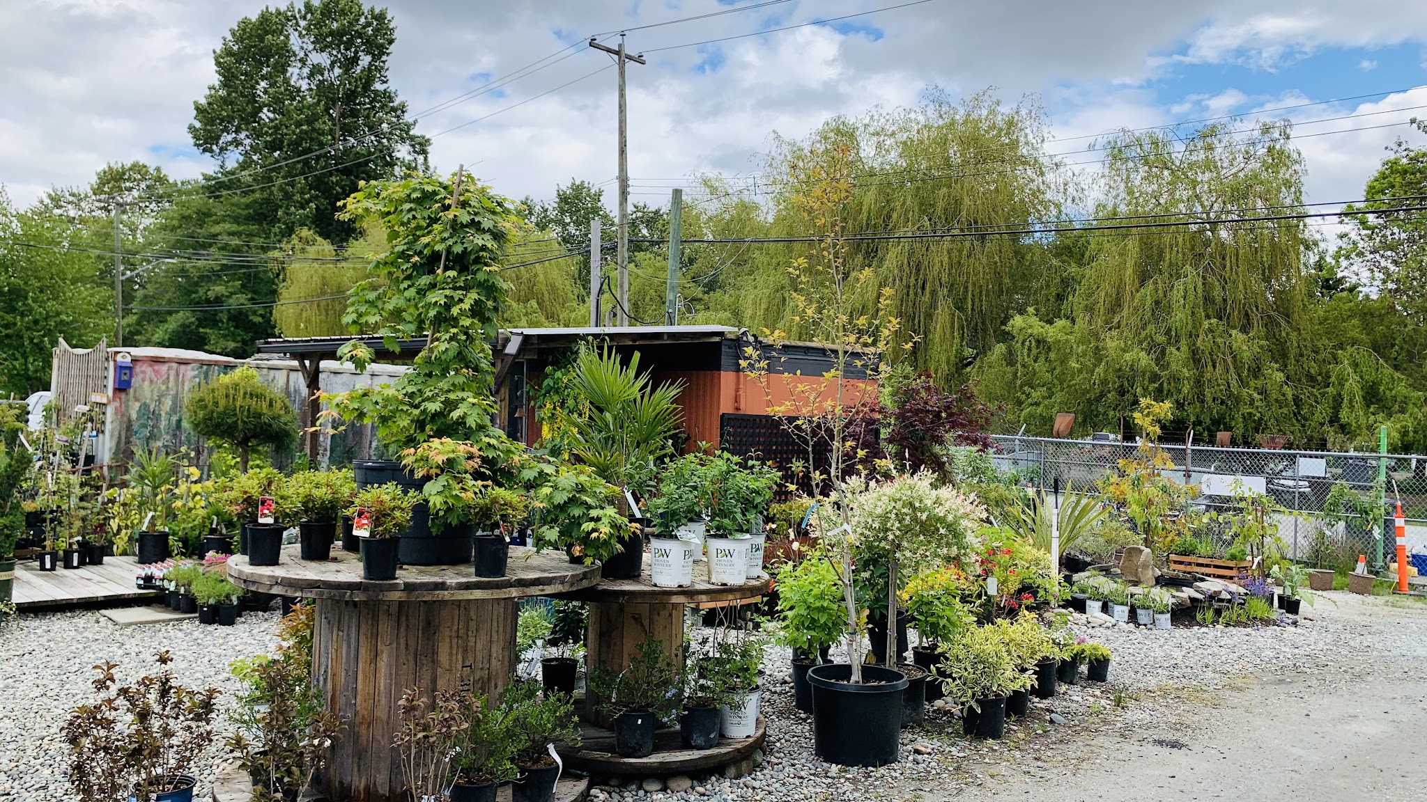 Its About Thyme Nursery Ltd