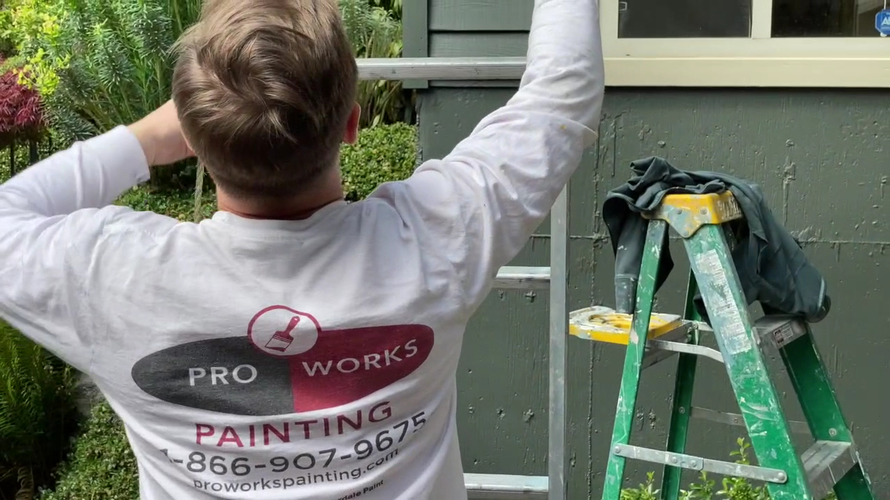 Pro Works Painting