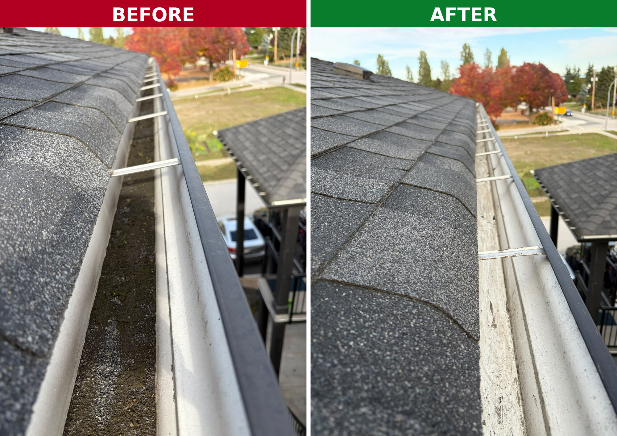 Two brothers roof clean