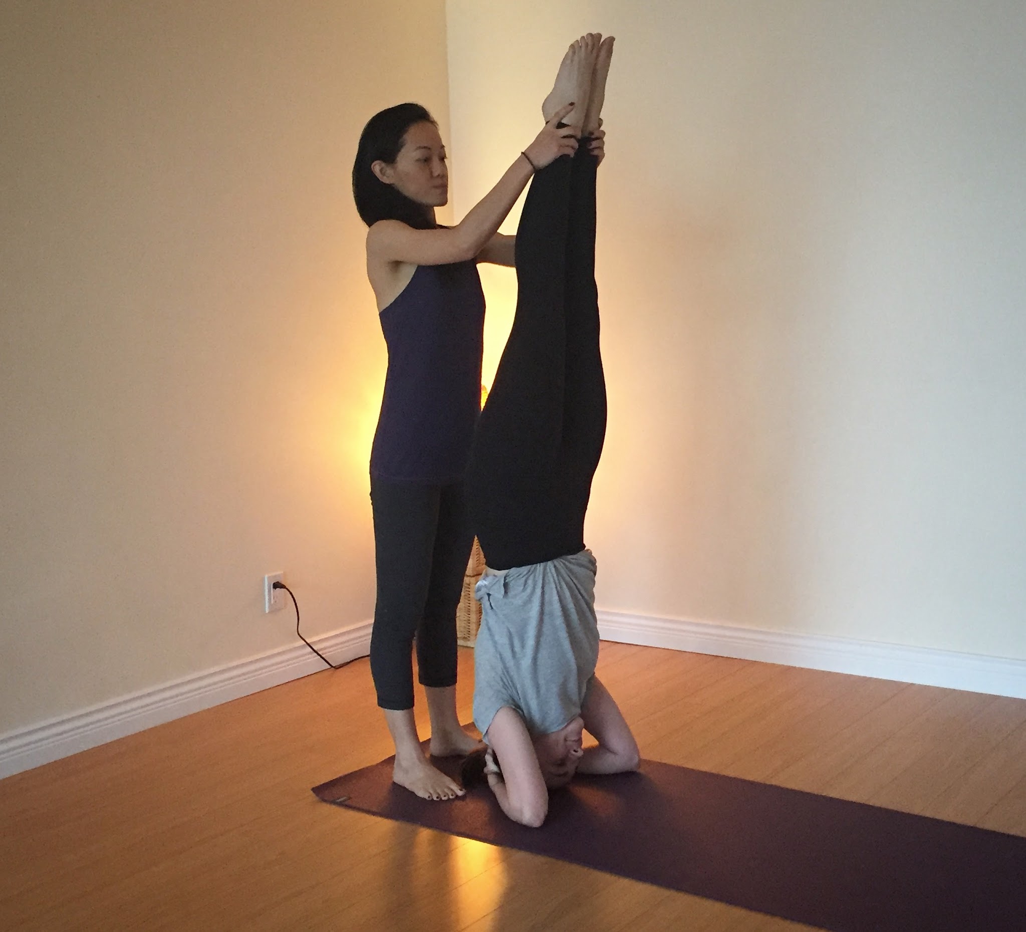 The Mat Yoga