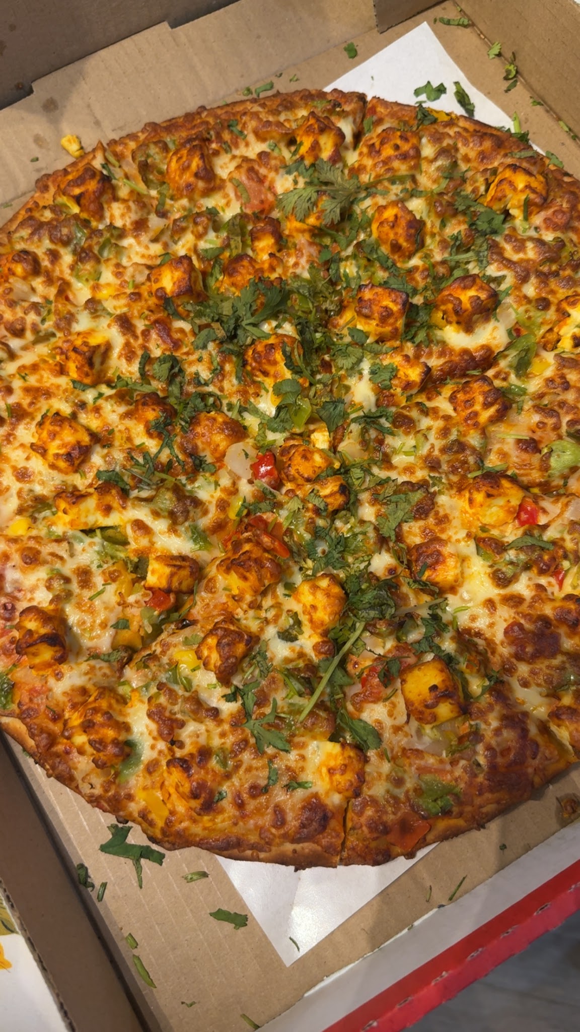 D-Plus Pizza