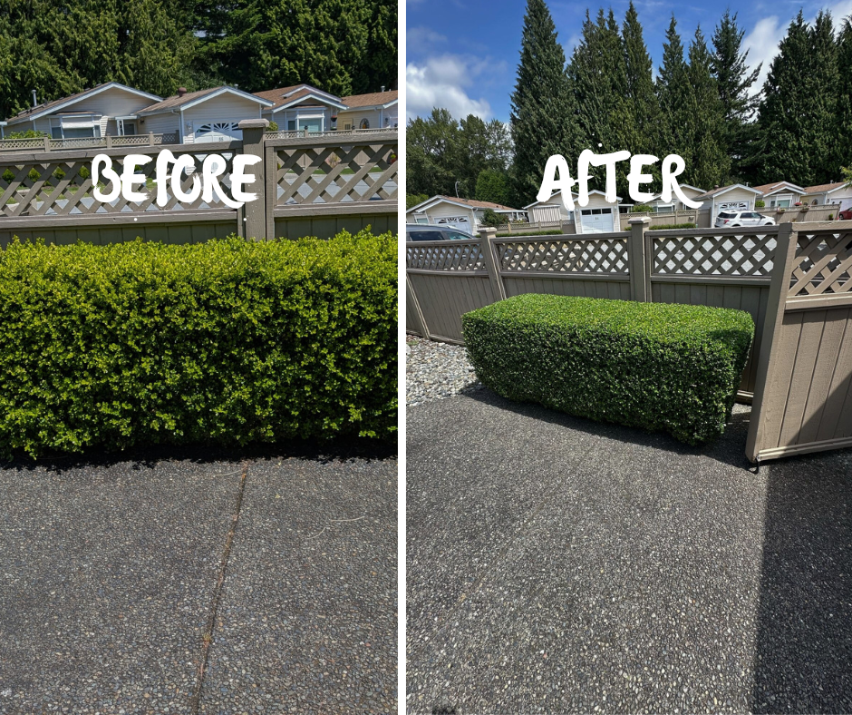 Splendid Landscaping Services