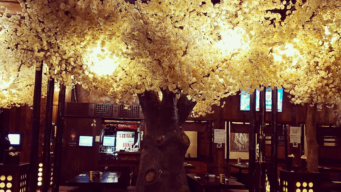 Sushi Mori Japanese Restaurant