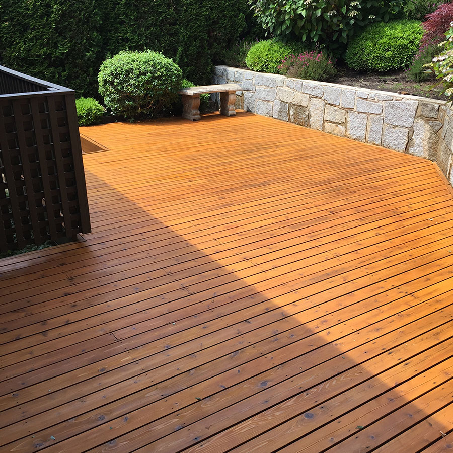 Carrera Pro Painters and Services