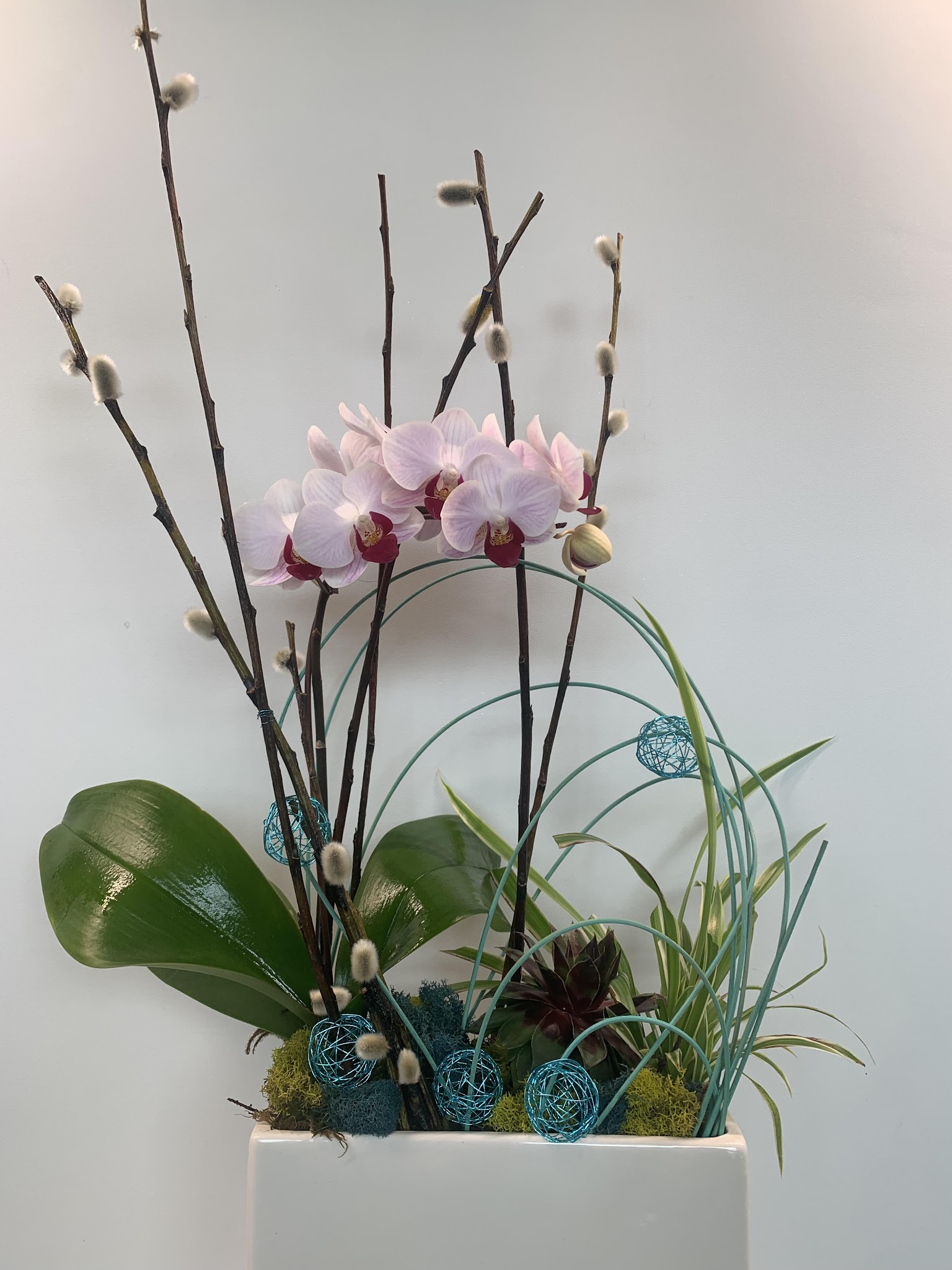 Plush Floral Studio