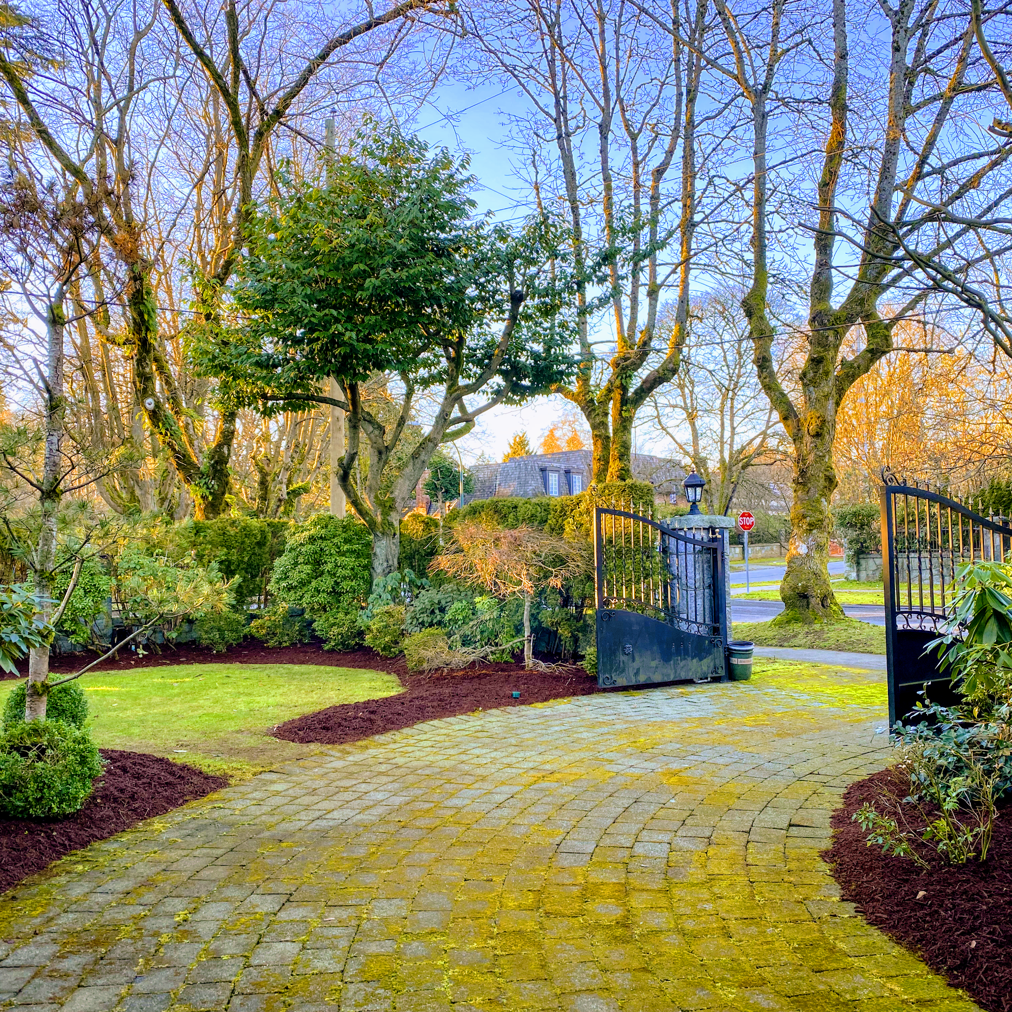 Green Bamboo Landscaping