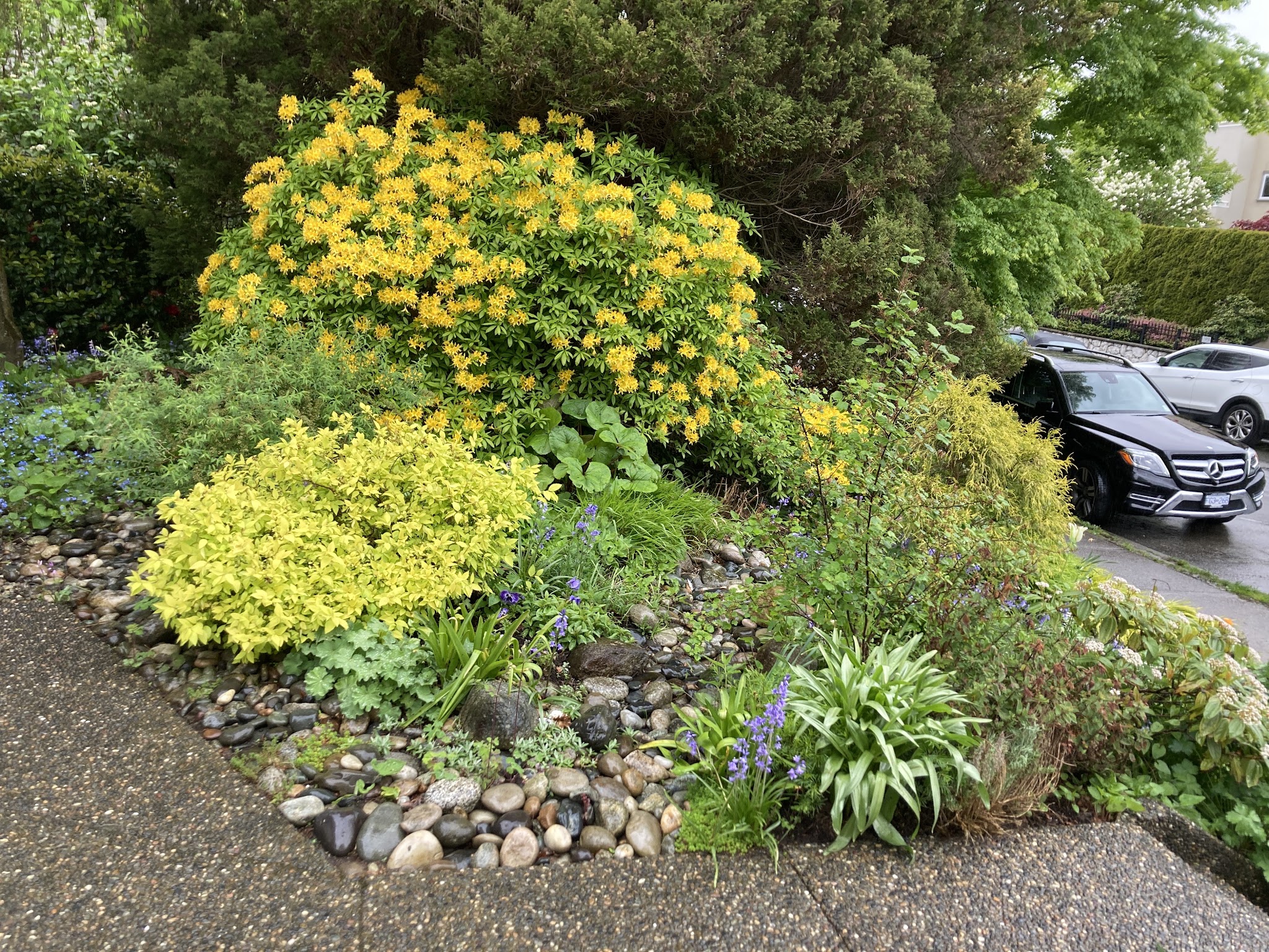 East River Gardens
