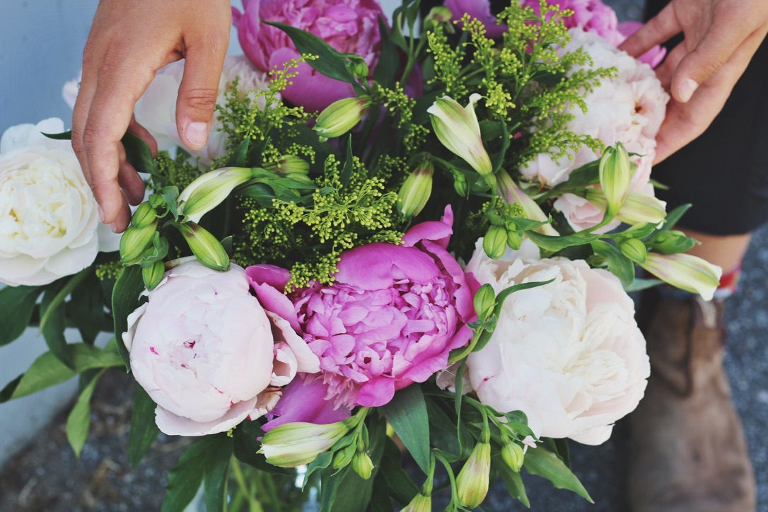 Bear's Blooms