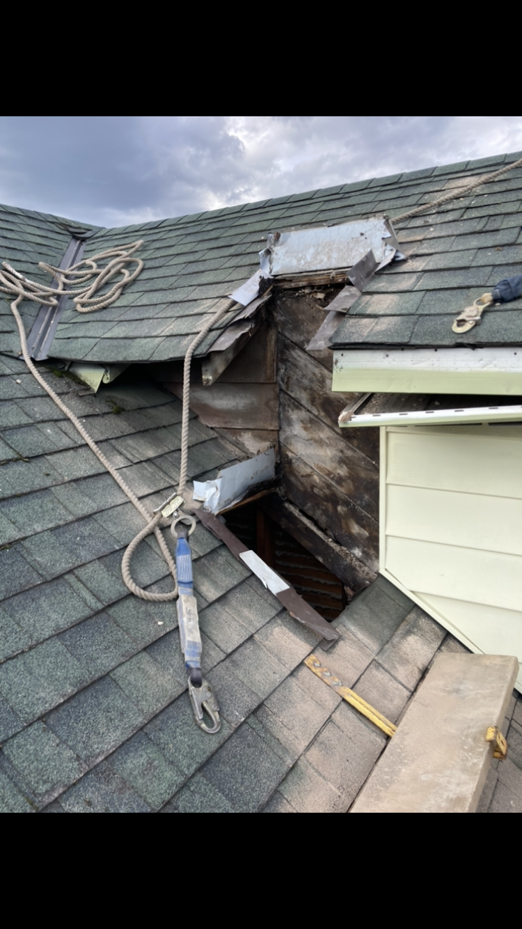Raise the Roof Roofing & Repair Ltd.