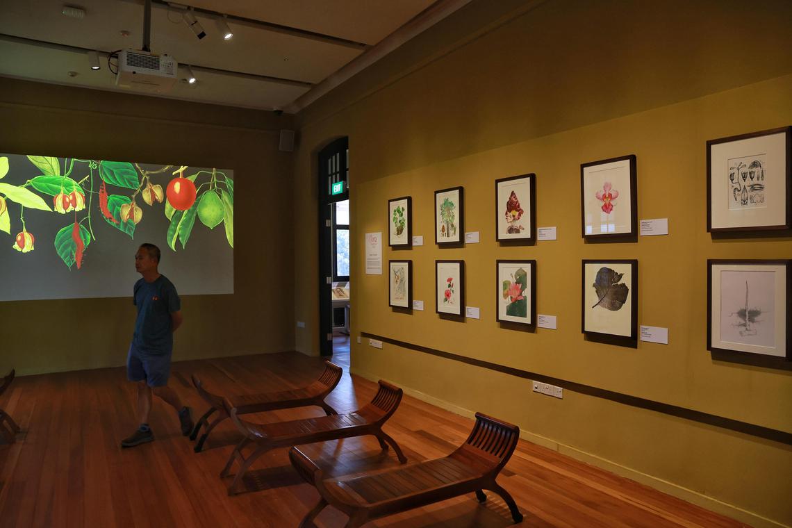 Botanical Art Gallery – Singapore Botanic Gardens (Gallop Extension)