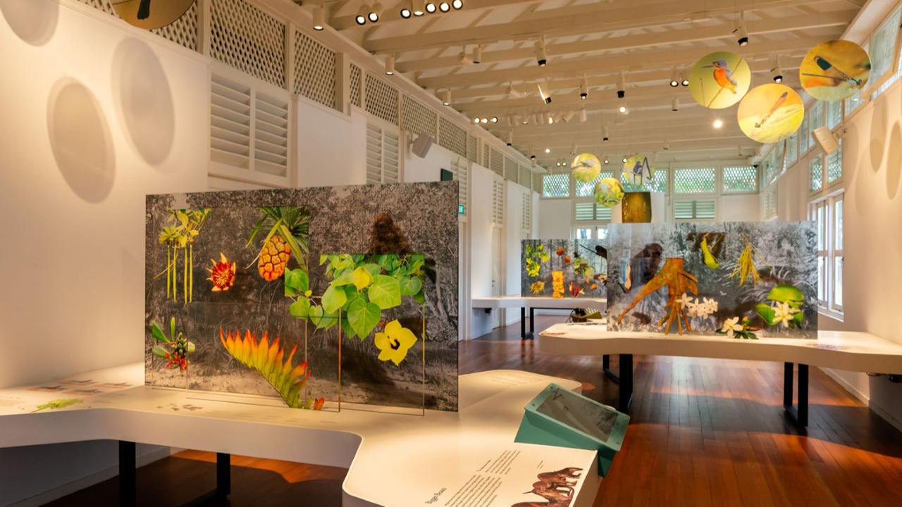 Forest Discovery Centre @ OCBC Arboretum – Singapore Botanic Gardens (Gallop Extension)