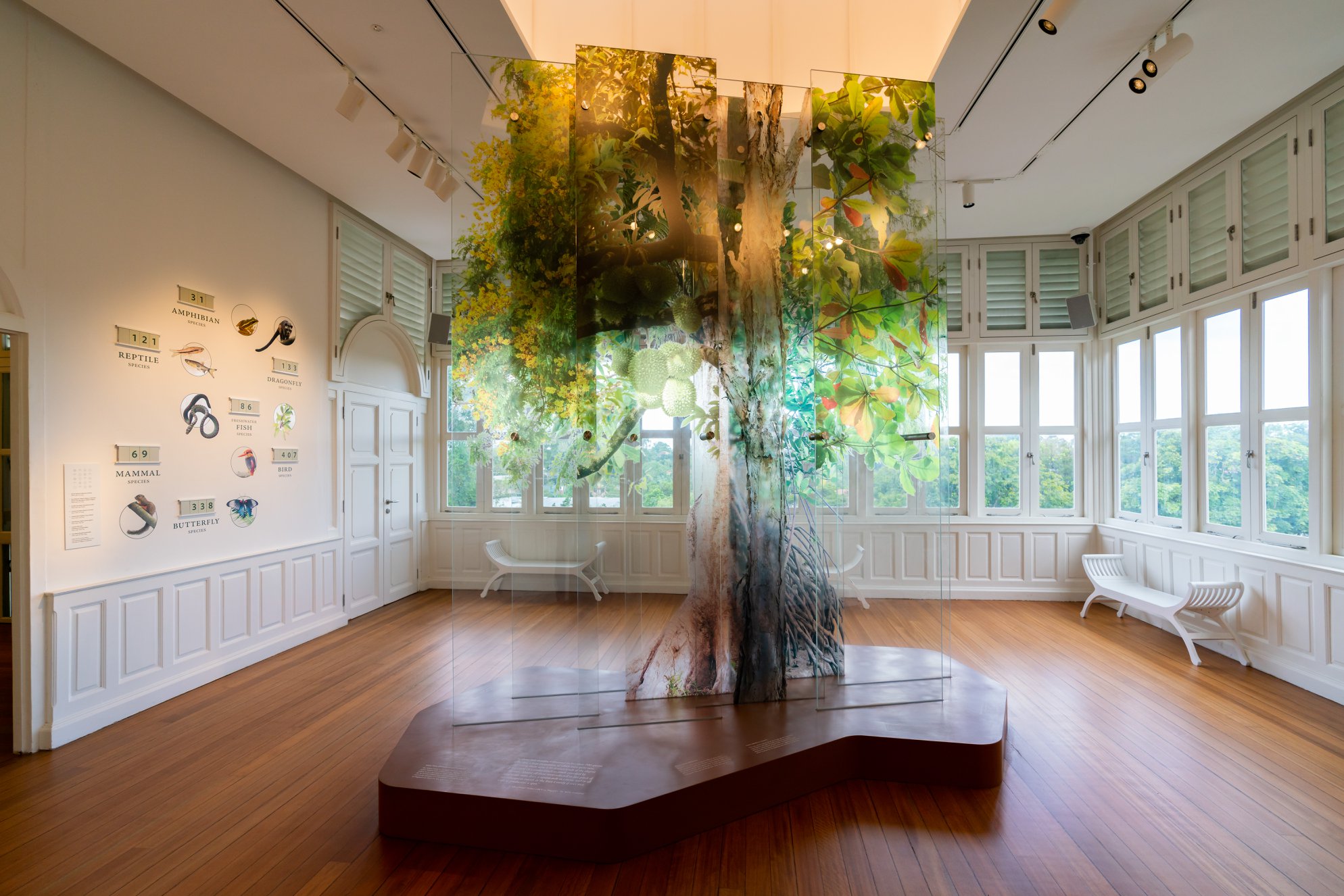 Forest Discovery Centre @ OCBC Arboretum – Singapore Botanic Gardens (Gallop Extension)