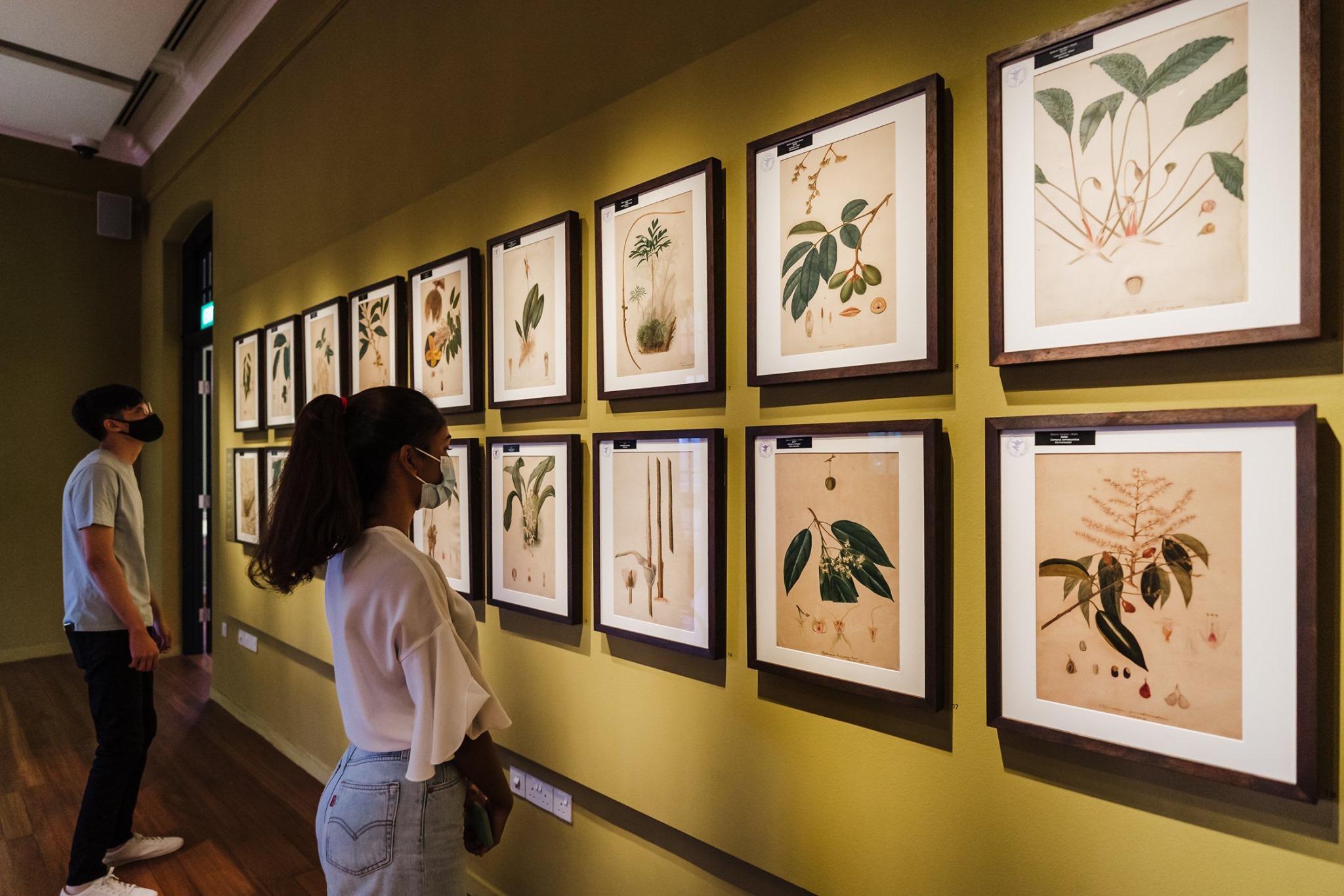 Forest Discovery Centre @ OCBC Arboretum – Singapore Botanic Gardens (Gallop Extension)