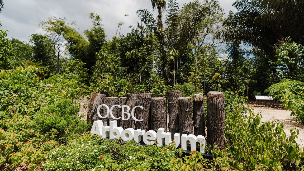 OCBC Arboretum – Gallop Extension, Singapore Botanic Gardens