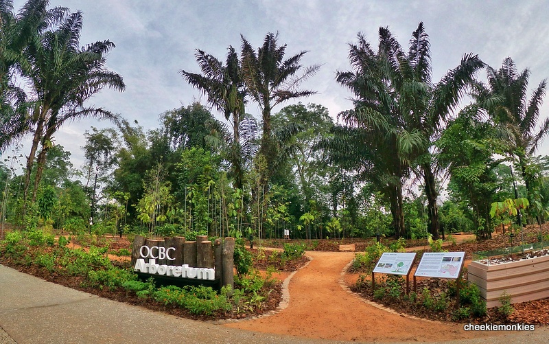 OCBC Arboretum – Gallop Extension, Singapore Botanic Gardens