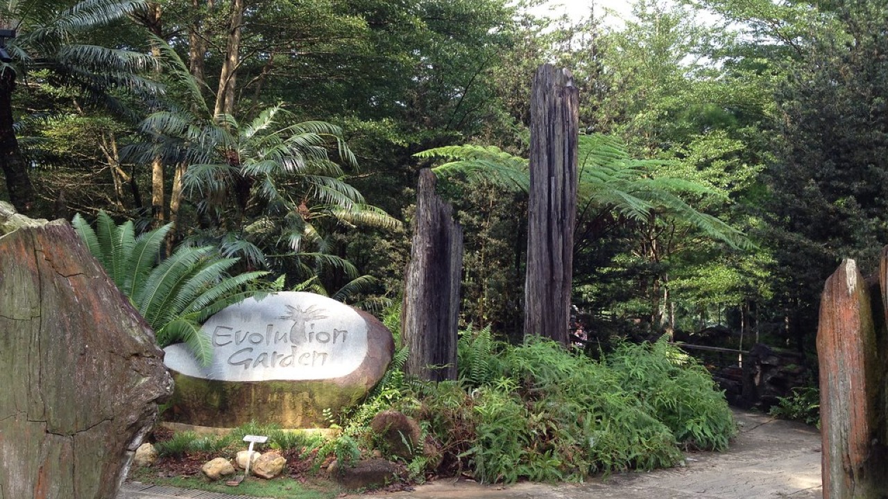 Evolution Garden – Singapore Botanic Gardens / Nassim Entrance