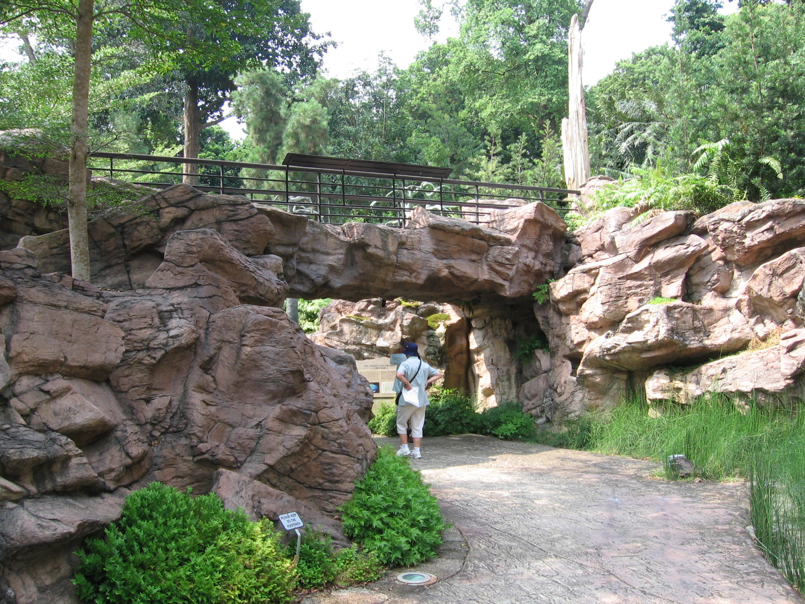 Evolution Garden – Singapore Botanic Gardens / Nassim Entrance