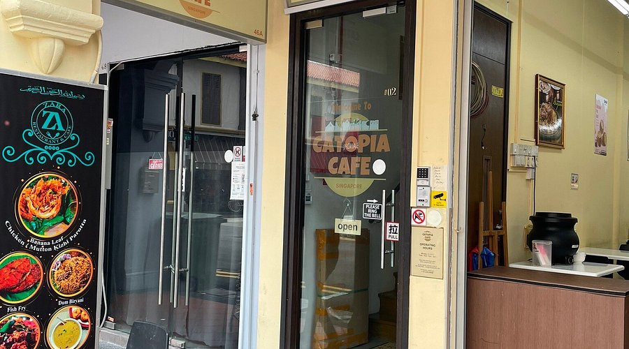 Catopia Café – Cat Cafe + Art Jam
