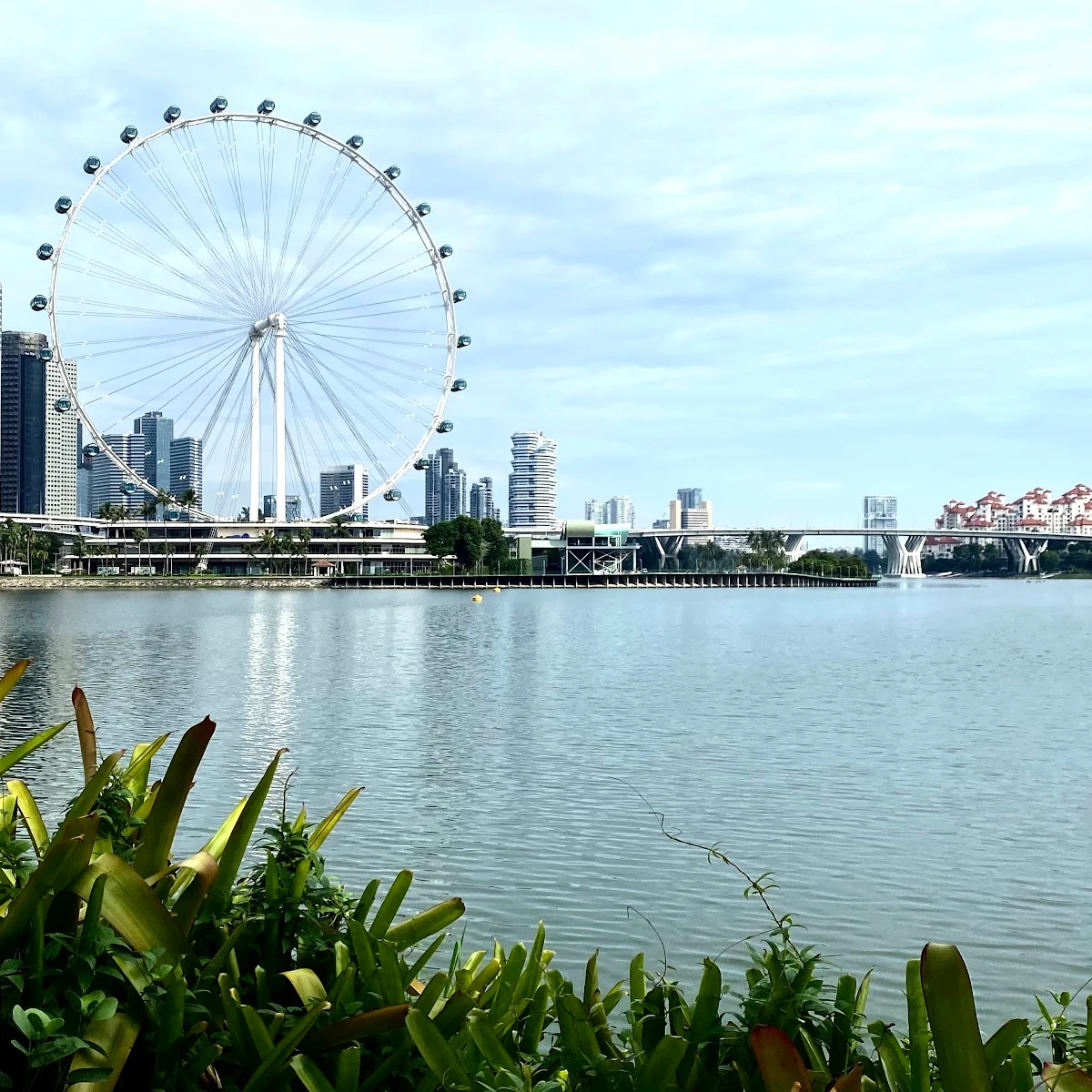 Riverside Park - Beautiful Route for Jogging, Scooting, or Walk [Connected path to Marina Bay Sands]