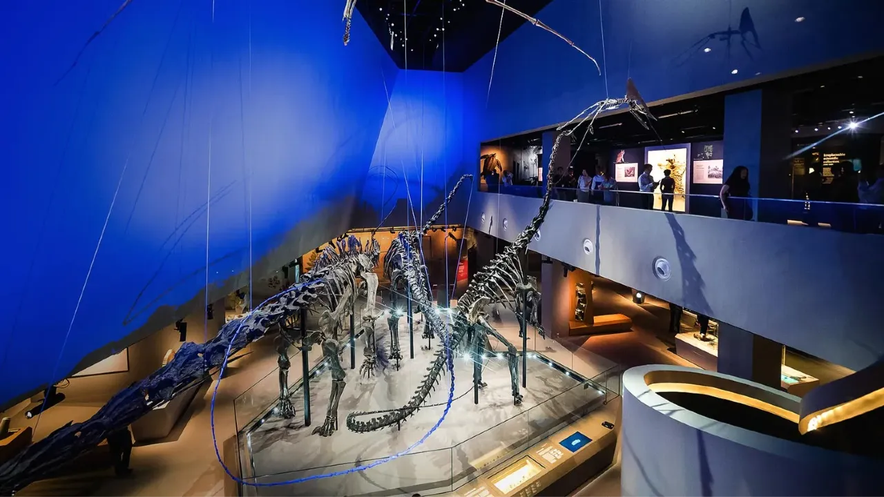 Lee Kong Chian Natural History Museum – Singapore’s Dinosaur & Biodiversity Treasure Trove