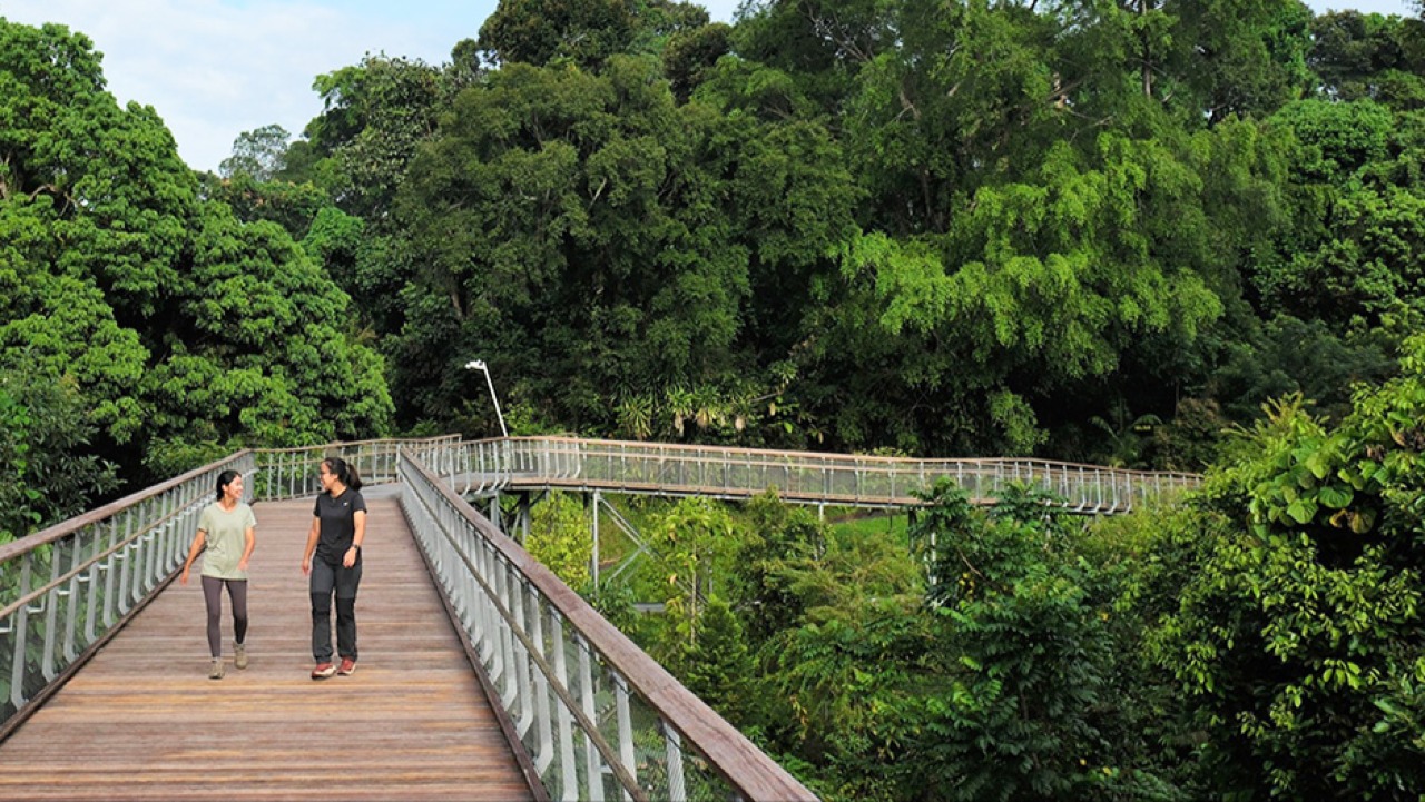 Free Guided NParks Tours @ Singapore Botanic Gardens – Nature Walks, Heritage Trails & Plant Guides