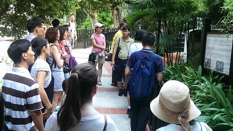 Free Guided NParks Tours @ Singapore Botanic Gardens – Nature Walks, Heritage Trails & Plant Guides