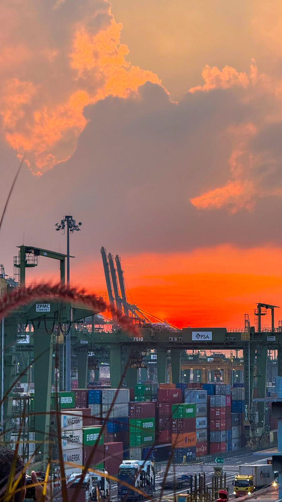 PSA Alongside Viewing Deck – Watch Giant Cargo Ships Up Close in Pasir Panjang