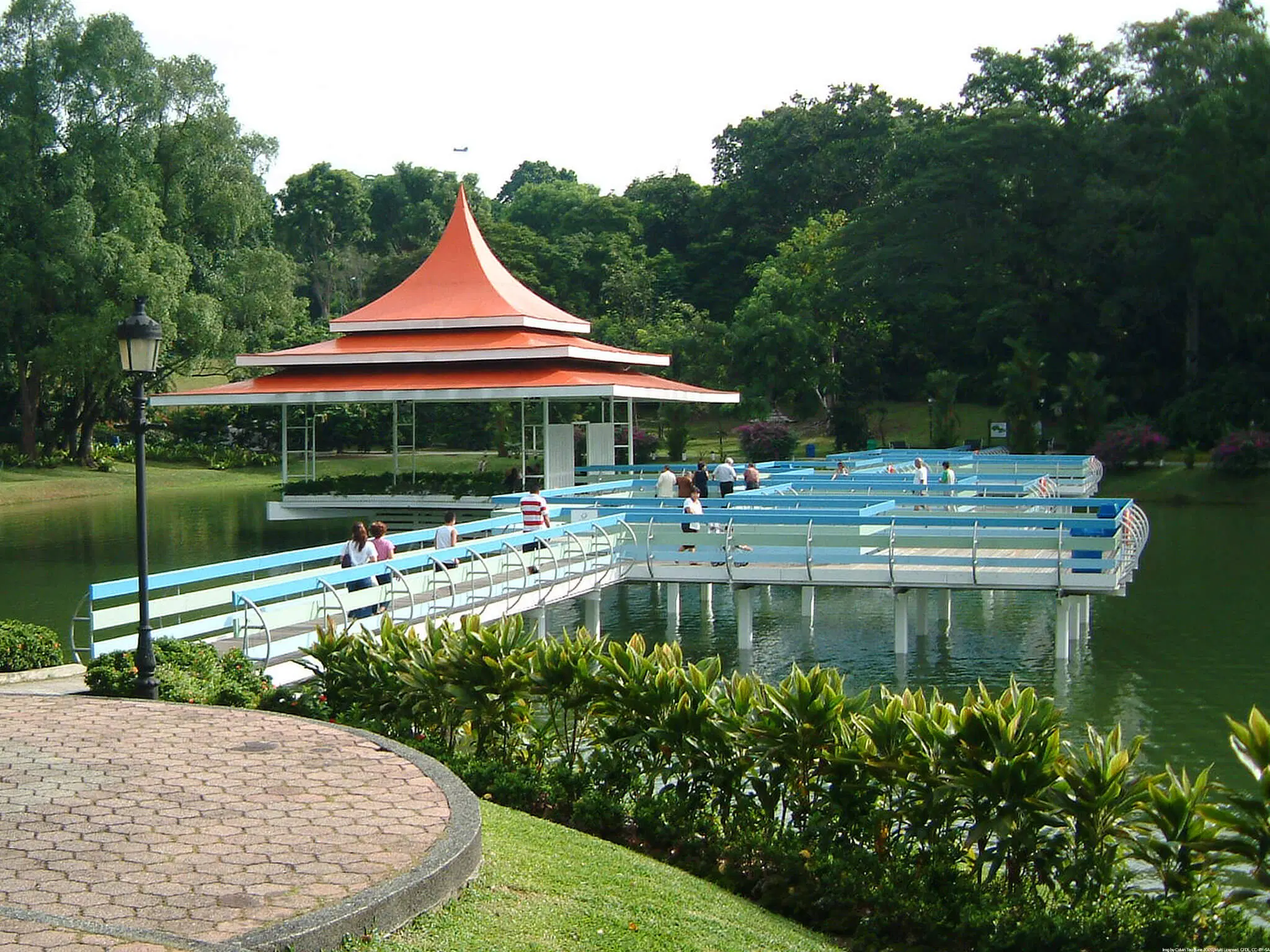 🌲 MacRitchie Reservoir Park & Nature Trails – Singapore’s Historic Reservoir Retreat