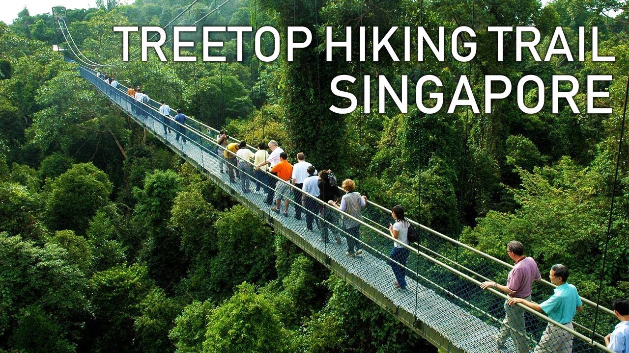 🌲 MacRitchie Reservoir Park & Nature Trails – Singapore’s Historic Reservoir Retreat