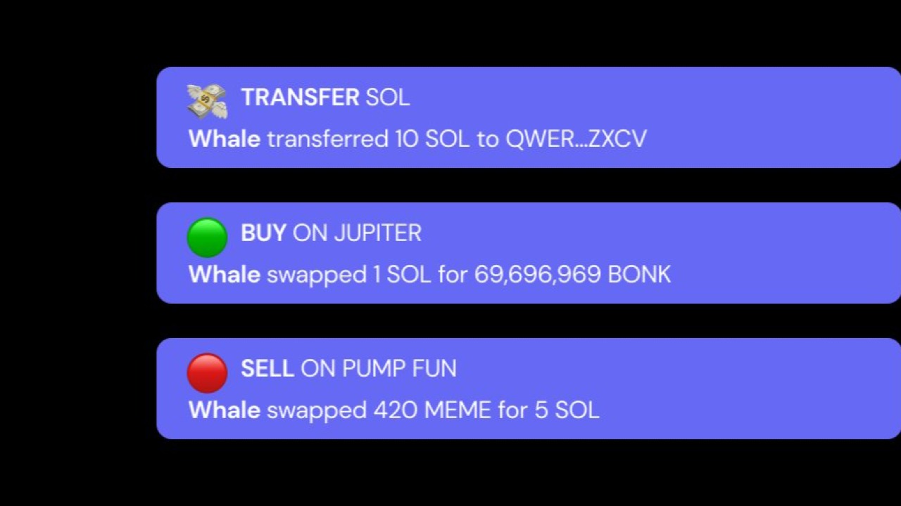 Track Smart Money & Wallet Moves in Real Time with Raybot Tracker