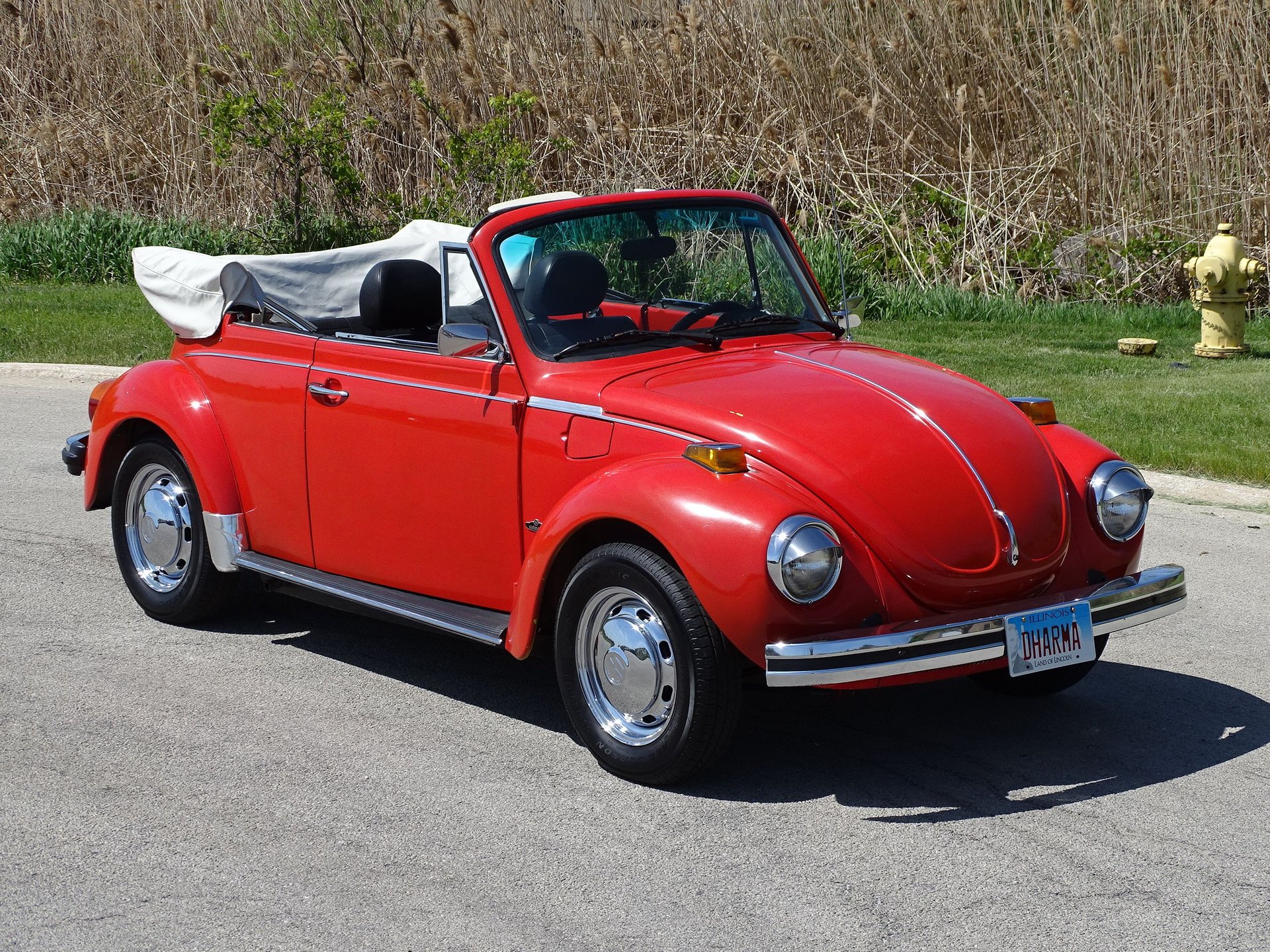 Survivor Classic Car Services - Chicago 