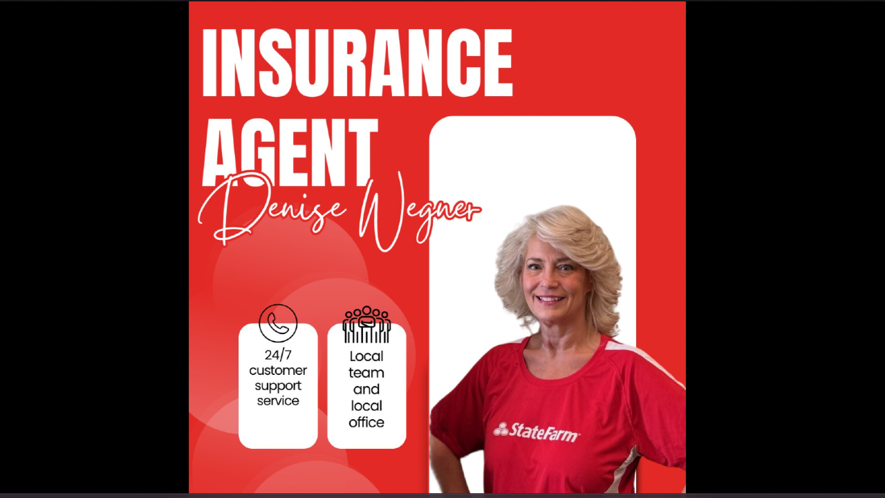Tinley Park IL State Farm Insurance Agent Denise Wegner