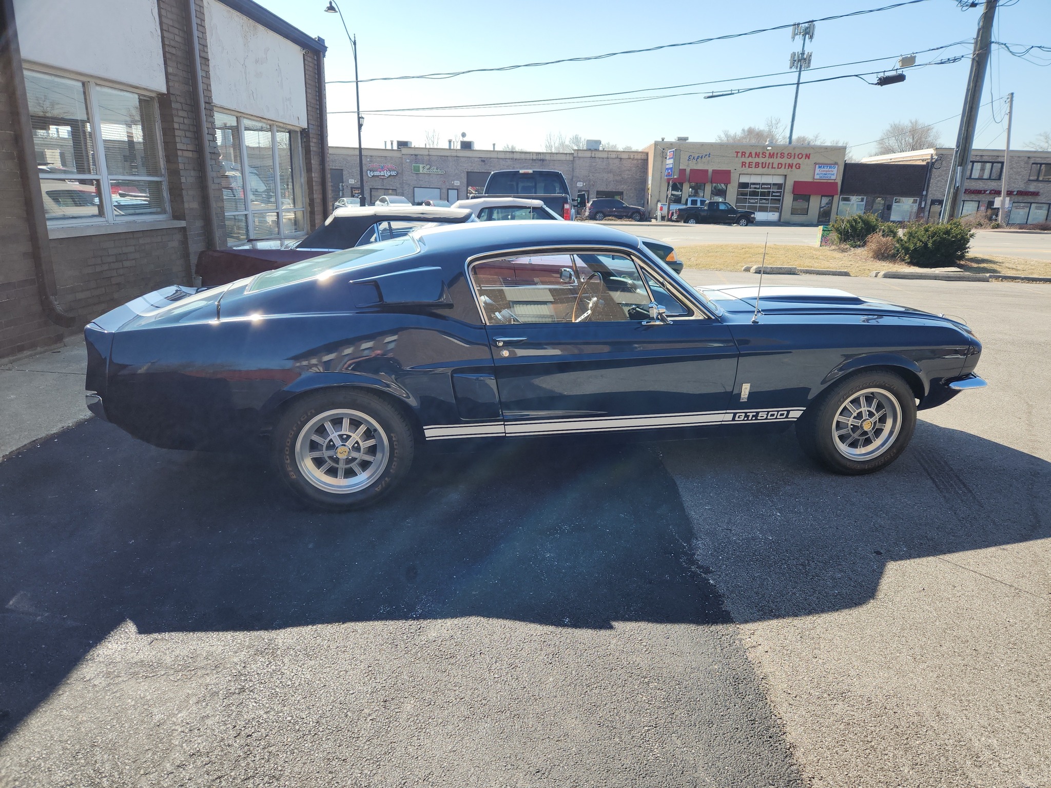 MUSTANG OF CHICAGO
