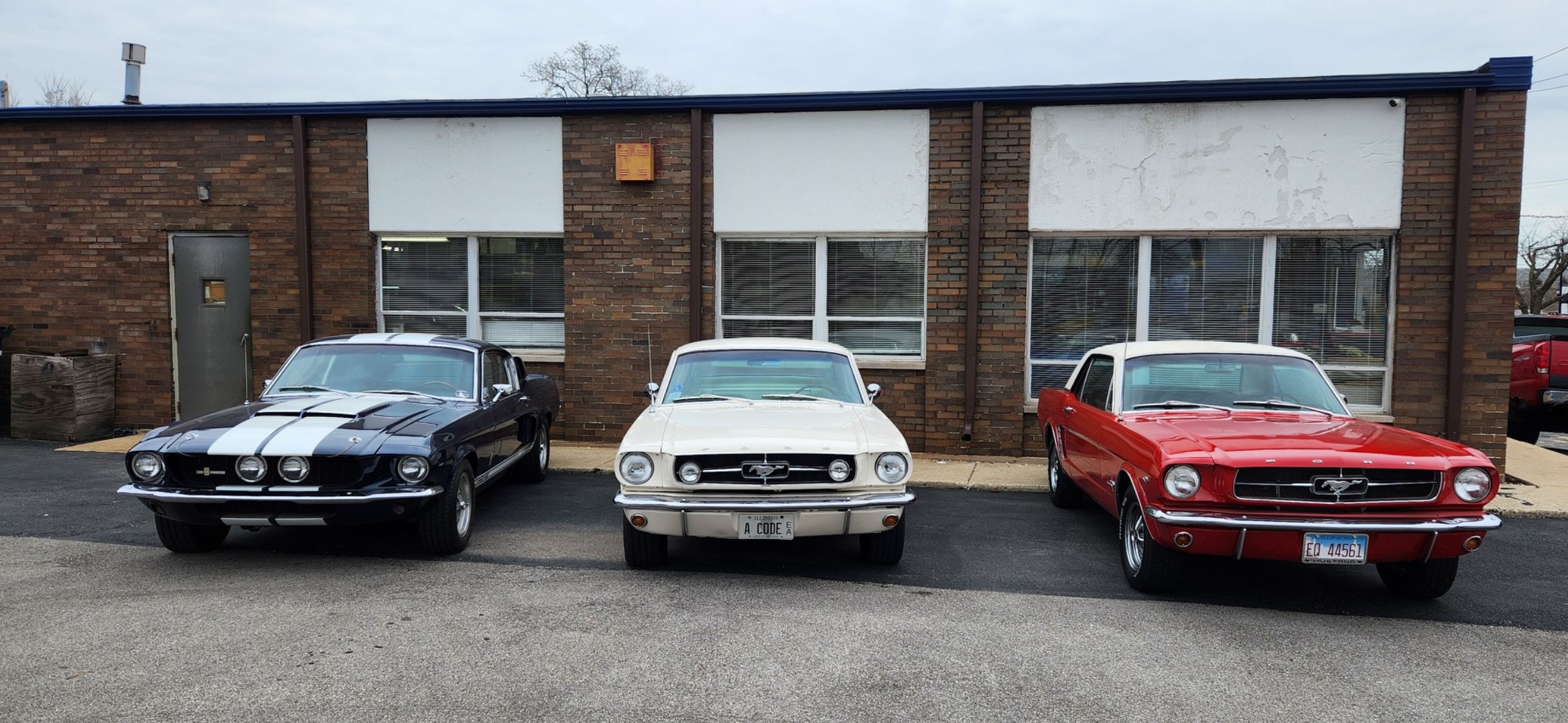 MUSTANG OF CHICAGO