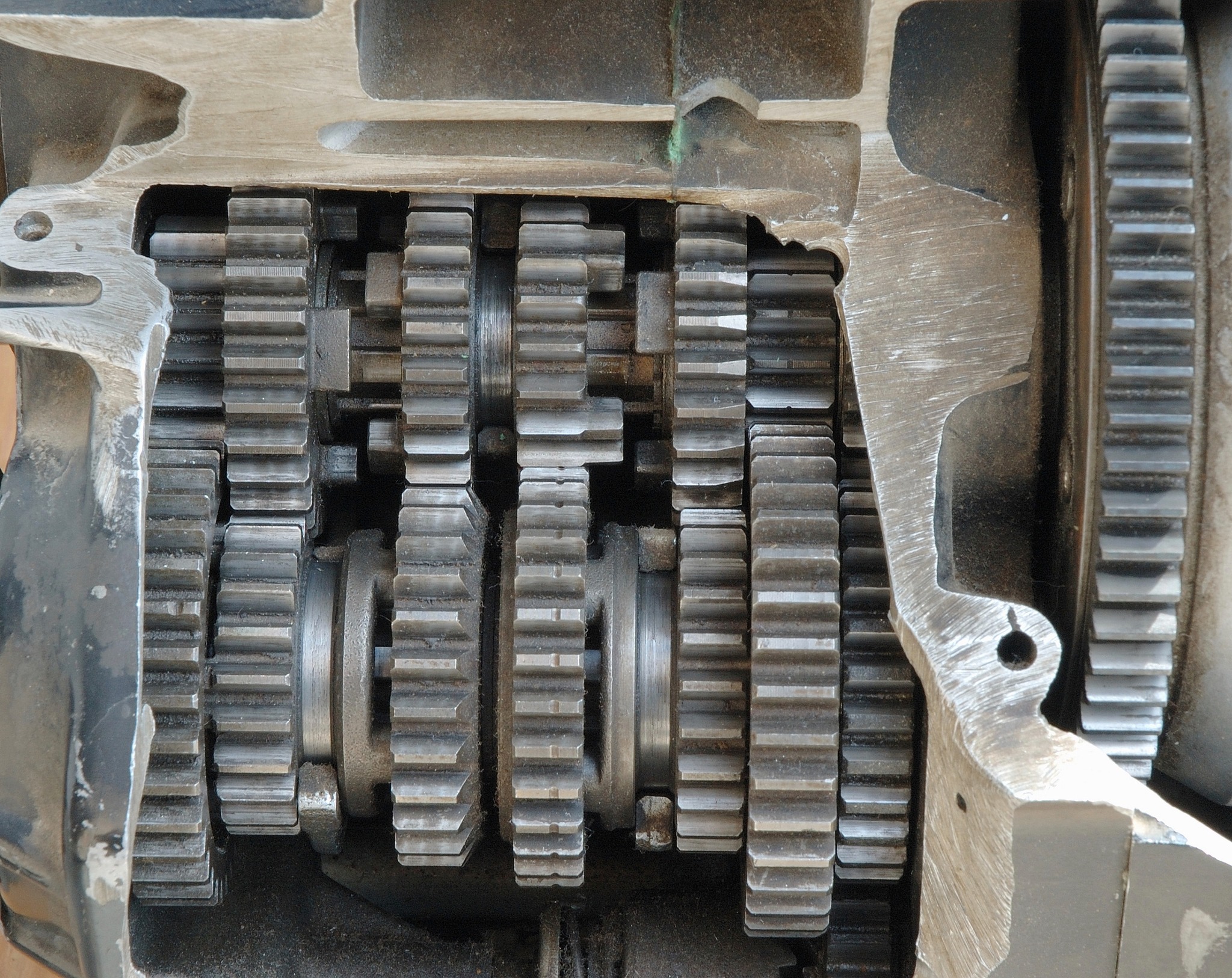 The Mechanics of Oak Lawn