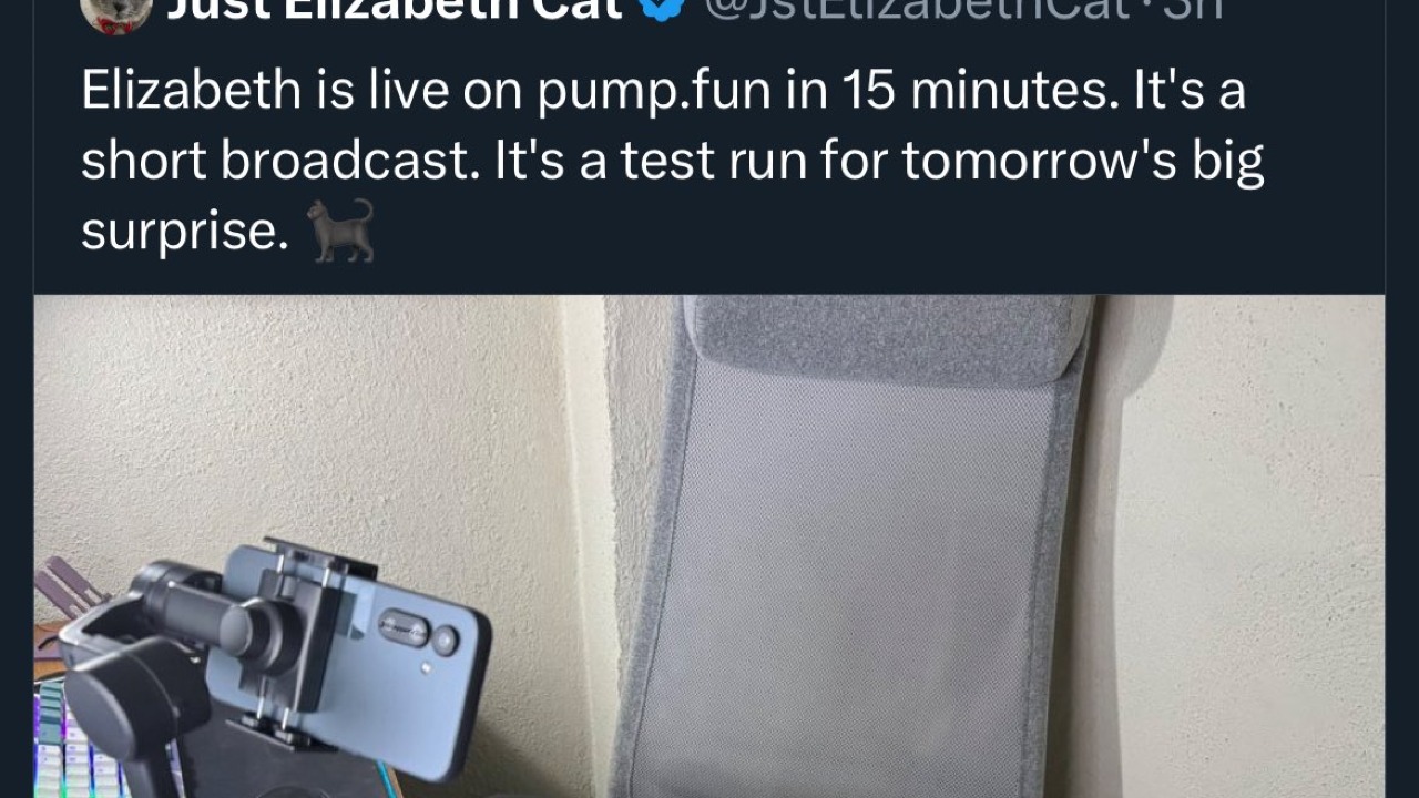🐱 How a Cat Made $90,000 in 3 Days on PumpFun