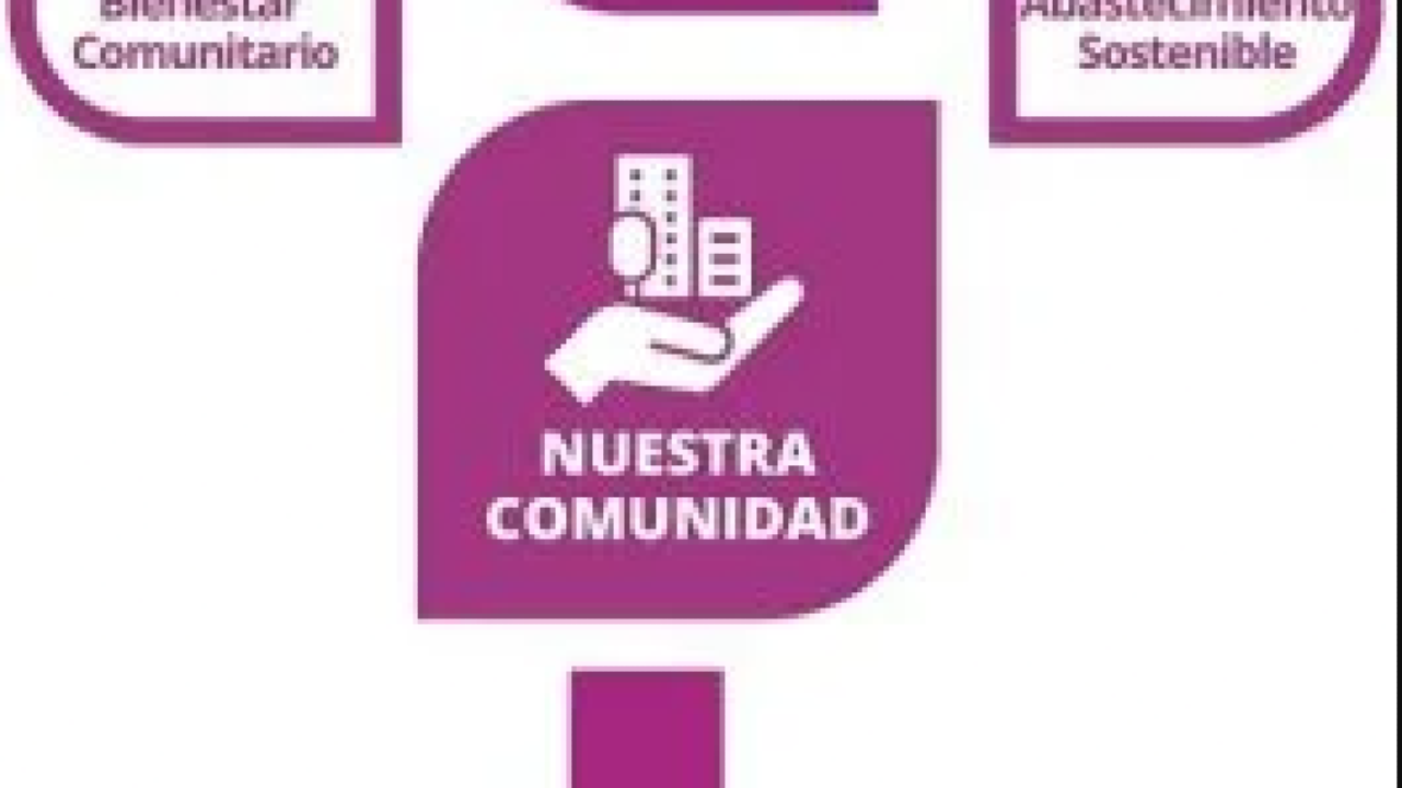 Acerca de Teopisca.mx