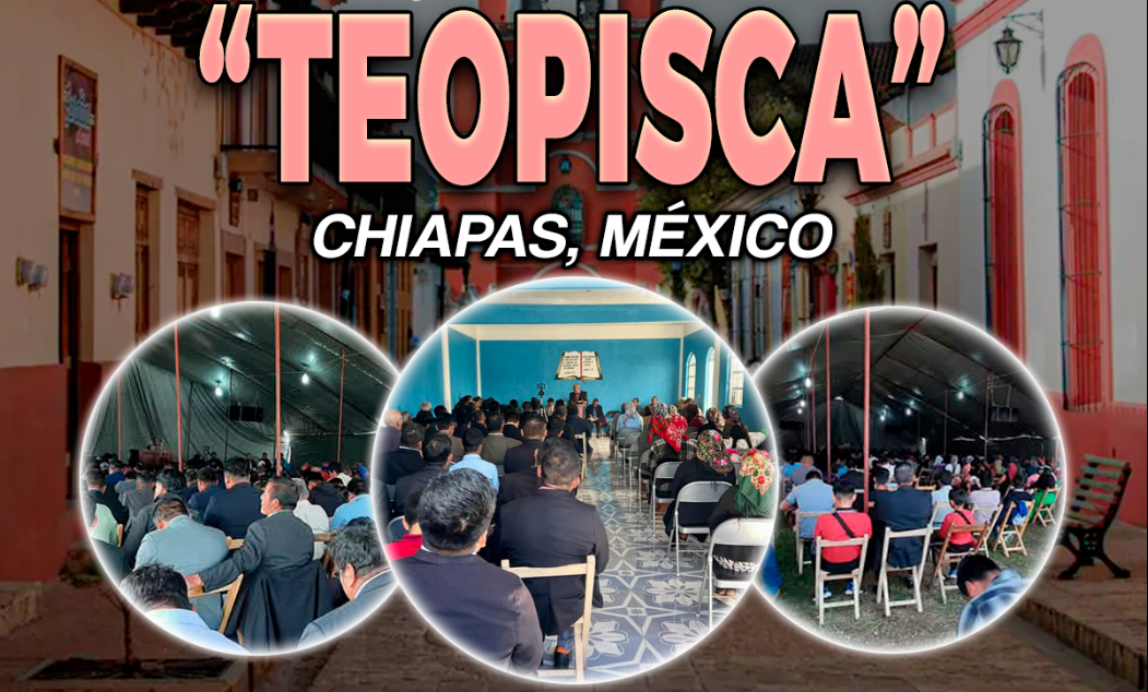 Acerca de Teopisca.mx