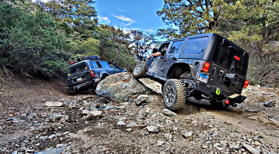 Wildside Customs